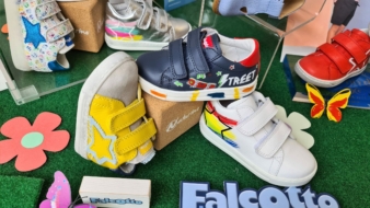 falcotto_4